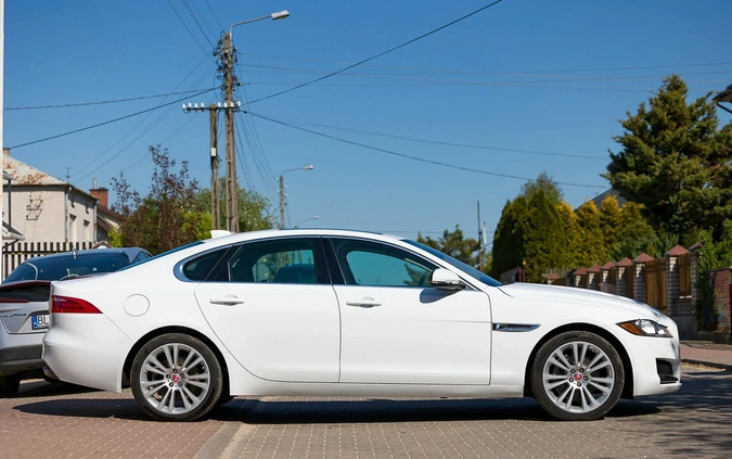 Jaguar XF cena 94000 przebieg: 56000, rok produkcji 2019 z Witkowo małe 326